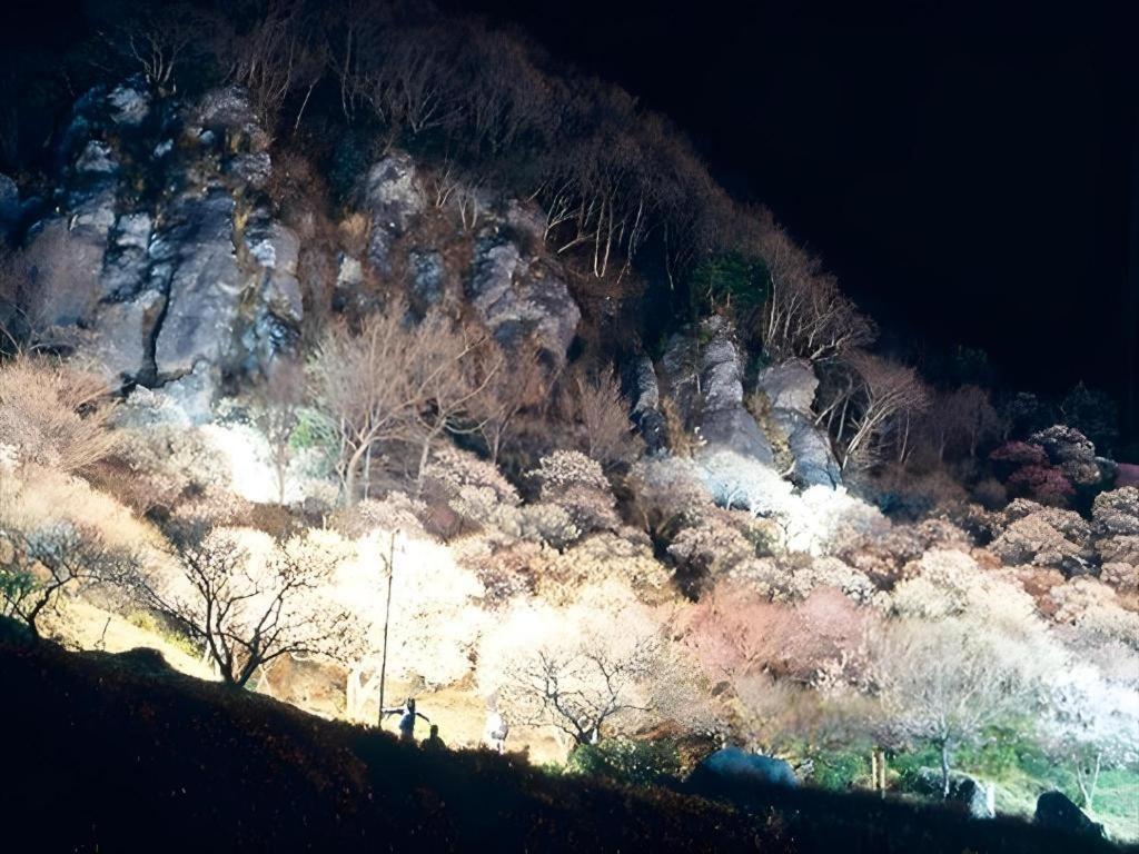 Corredor Yugawara Dog＆Resort Atami  Eksteriør billede