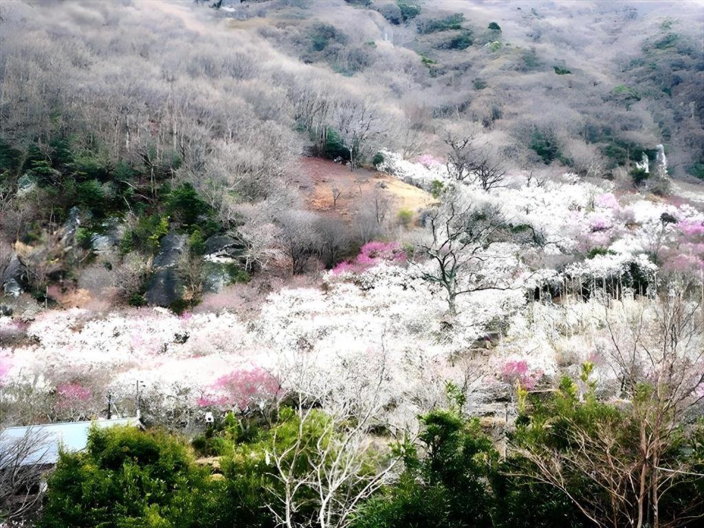 Corredor Yugawara Dog＆Resort Atami  Eksteriør billede